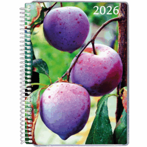 Dagskalender med tryk på forside