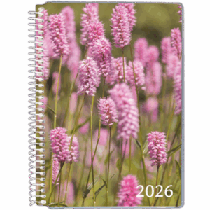 Dagskalender med tryk på forside